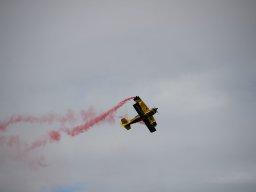 rodenberg2025 41